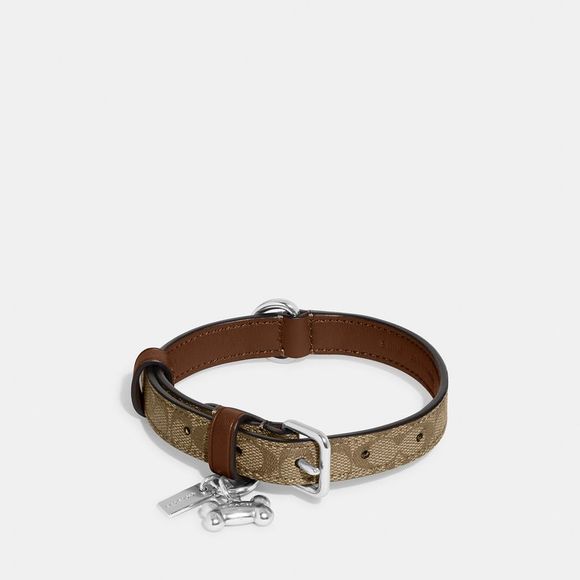 NWT Coach Outlet Boxed Small Pet Collar In Signature Canvas - Picture 2 of 5